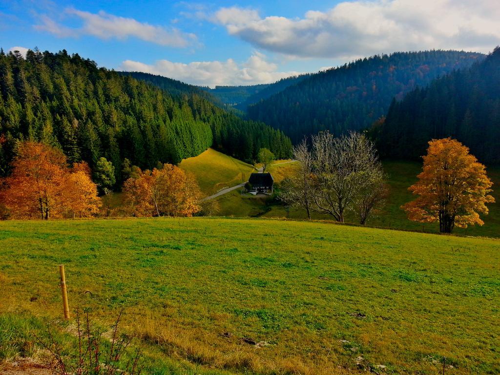 Outdoor & Relax Blackforest Neukirch エクステリア 写真